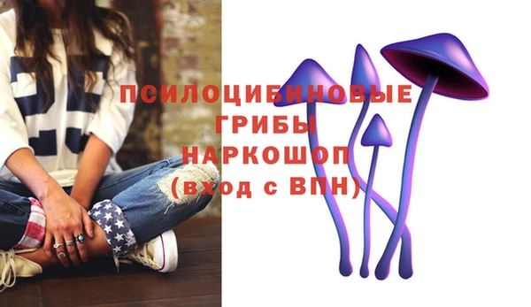 ешки Гусев