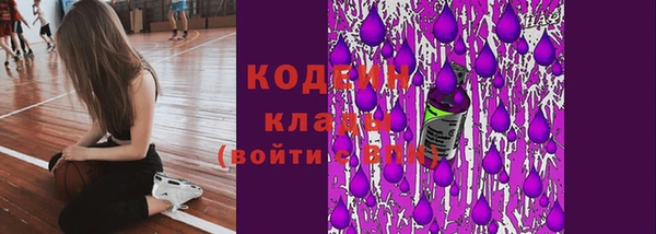 ешки Гусев