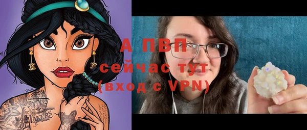 ешки Гусев