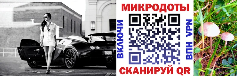 Псилоцибиновые грибы Cubensis  Купить  Новосокольники 